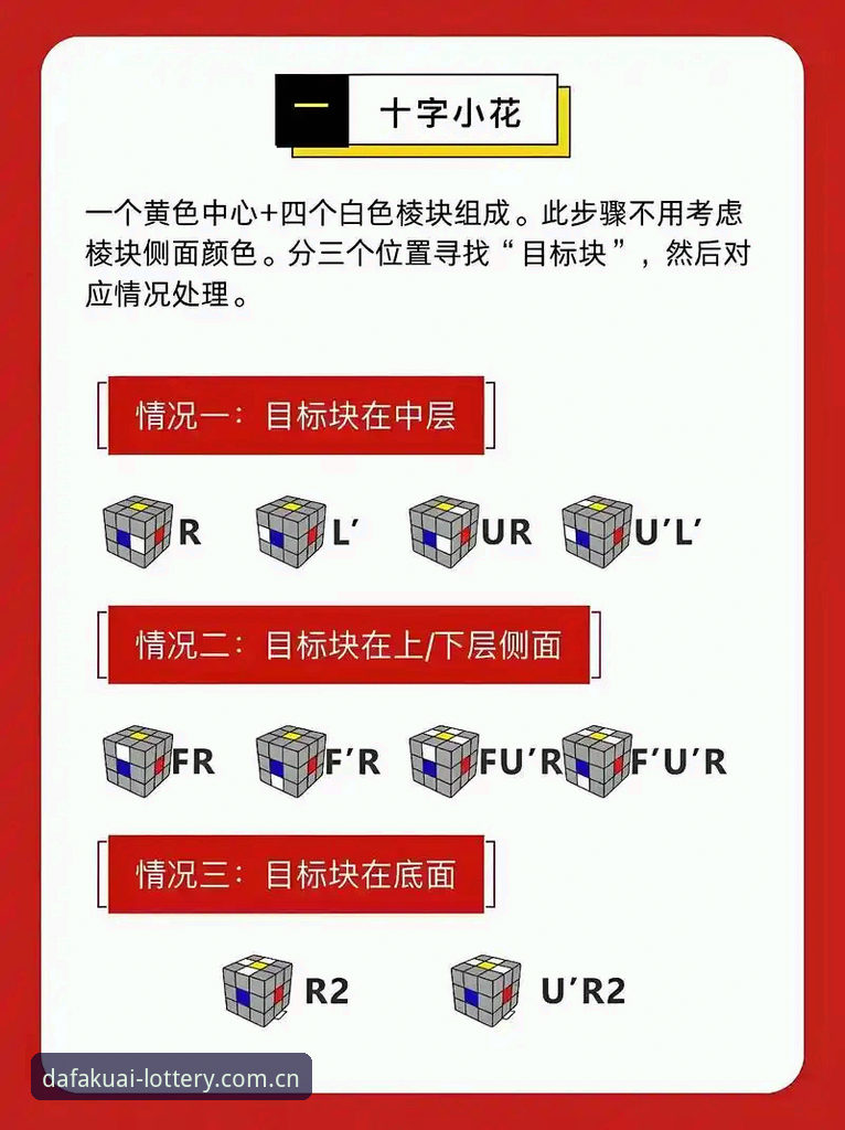 大发快三官网使用技巧 大发快三官网使用技巧:新手入门vs进阶玩法全面对比